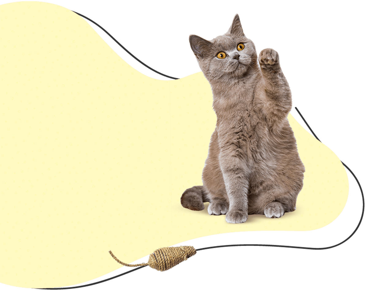 https://skypetshop.com/wp-content/uploads/2019/07/hero_image_04-2.png