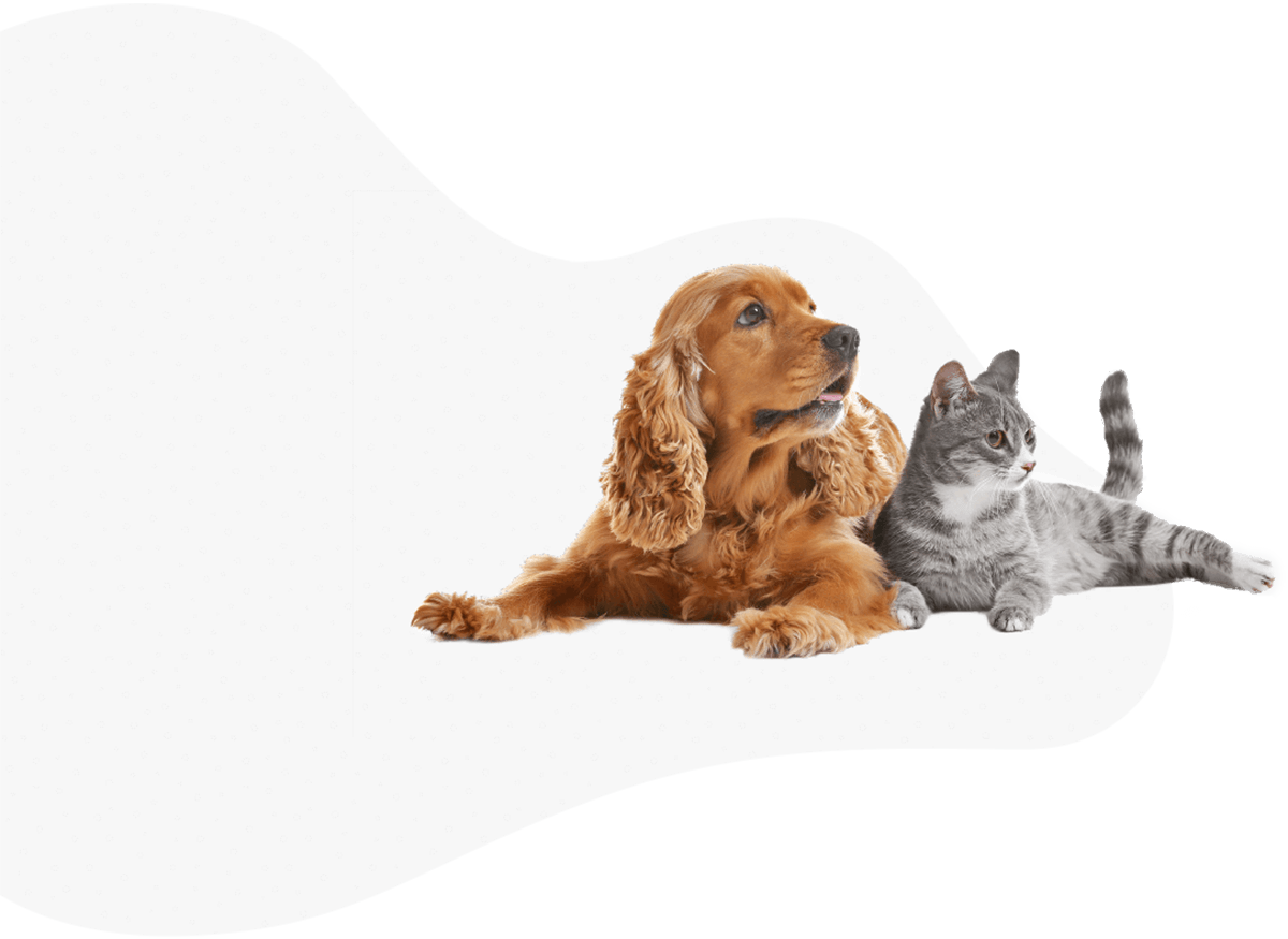 https://skypetshop.com/wp-content/uploads/2019/07/hero_image_06-2.png