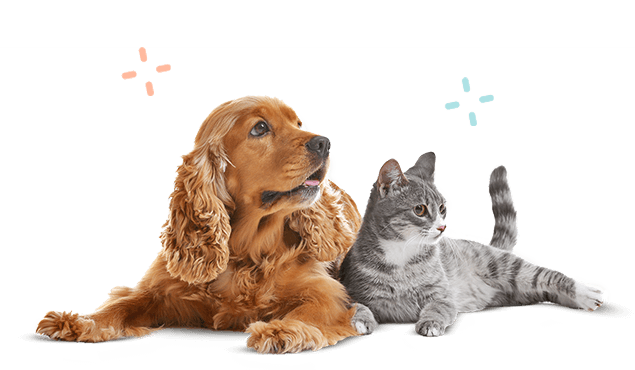 https://skypetshop.com/wp-content/uploads/2019/07/inner_image_01-1.png
