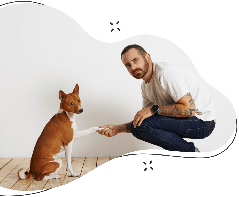 https://skypetshop.com/wp-content/uploads/2019/08/hero_image_07-1.png