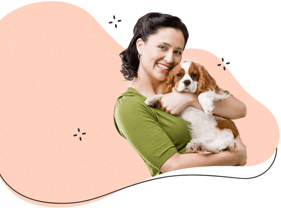 https://skypetshop.com/wp-content/uploads/2019/08/hero_image_09-1.png