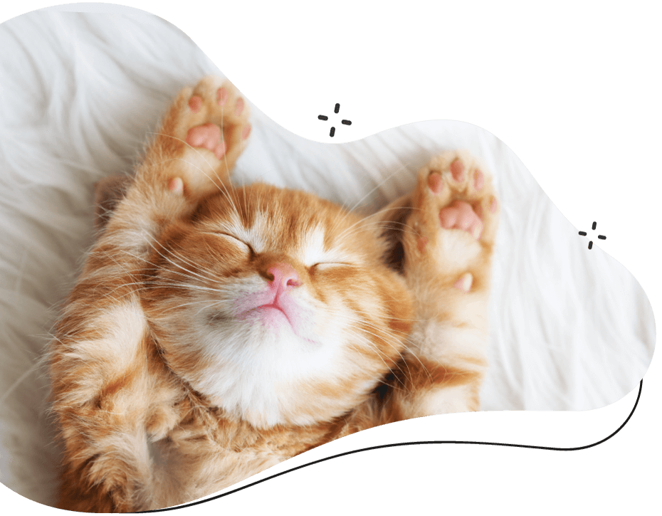 https://skypetshop.com/wp-content/uploads/2019/08/inner_cat-1.png
