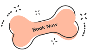 https://skypetshop.com/wp-content/uploads/2019/08/text_07-1.png